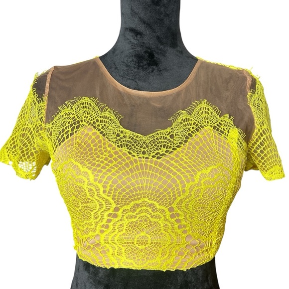 Tobi Yellow Green Lace Scalloped Brown Mesh Cropped Women’s Size Small - Picture 1 of 8